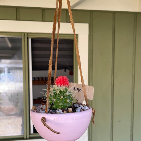 Leather hanging pot